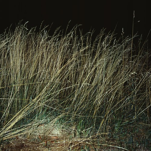 http://www.urosacman.com/files/gimgs/th-9_The night 11.jpg